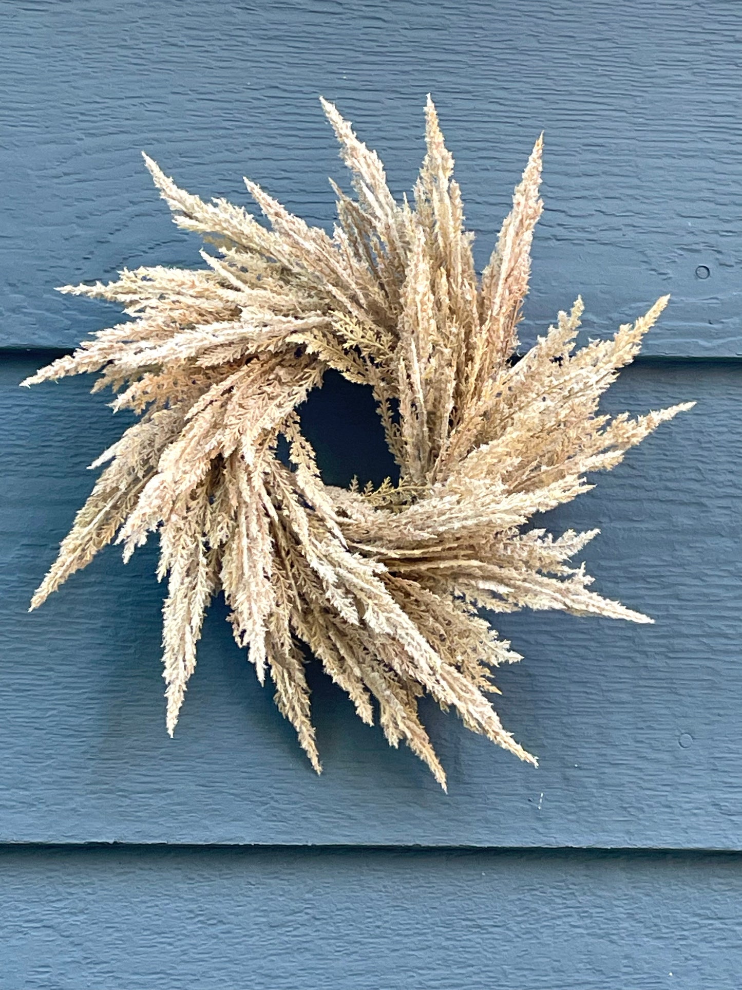 Pampas Grass Wreath